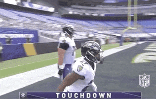 Regular Season Football GIF by NFL
