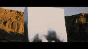 Sub Pop Love GIF by Sub Pop Records