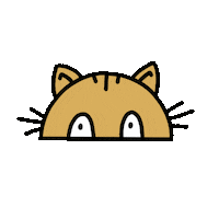 Peek-A-Poo Cat Sticker