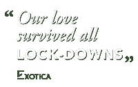 exoticaflowers love valentine gift quarantine Sticker