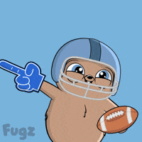 Super Bowl Football GIF by Fugz Official