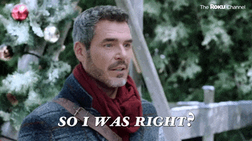 How To Fall In Love By The Holidays GIF by The Roku Channel