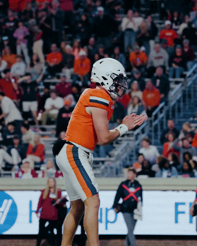 Scott Stadium Uva GIF by Virginia Athletics