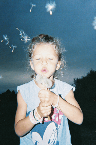 aooatv giphyupload GIF