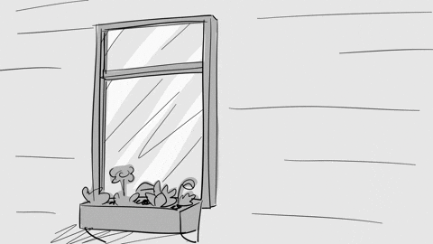 Flying Cat GIF by CC0 Studios