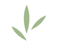 cannabis wellness Sticker by Sagely Naturals