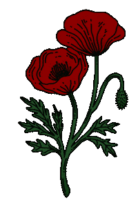 iamsickofshadows red nature flower green Sticker