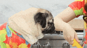 best friend cooking GIF by Rosanna Pansino