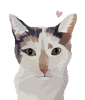 Cat Adopt Sticker by Watertown Humane Society
