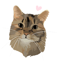 Cat Adopt Sticker by Watertown Humane Society