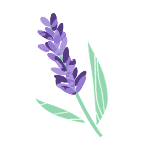 Fun Illustration Sticker by Stem Ciders