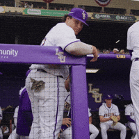 College Sports Baseball GIF by LSU Tigers