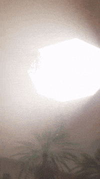 Taco Collectibles GIF by Youtooz