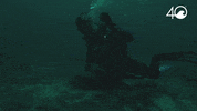 Environment Osborne GIF by 4ocean