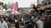 Park GIF by Linz News