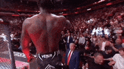 Mixed Martial Arts Sport GIF by UFC