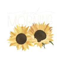 atsumaias good morning morning sunflowers atsumaias Sticker