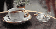 animation loop GIF