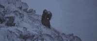 man in the wilderness GIF by Warner Archive