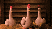 Shaun The Sheep GIF by STUDIOCANAL
