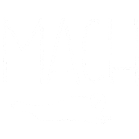 Party Mach Die Robbe Sticker