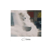 Autoshow Sticker by Onlia