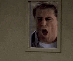 Season 3 Omg GIF by Friends