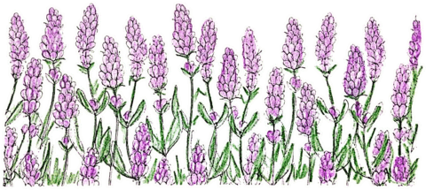 Sticker by Jesús María