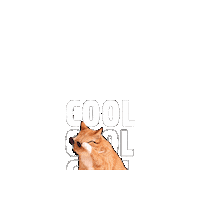 Chill Sticker by YOXO