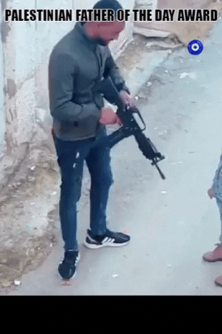 Jenin Palestine GIF