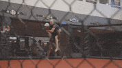 Ufc Albuquerque GIF by Jackson Wink MMA Academy