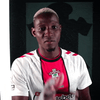 Premier League Football GIF by Southampton FC
