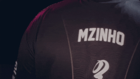 Esports Cs GIF by BLAST