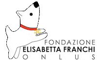 dogs charity Sticker by ELISABETTA FRANCHI