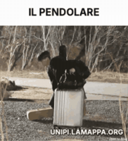 Pisa Unifi GIF by lamappa.org