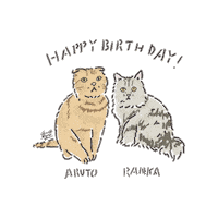 Cat Sticker