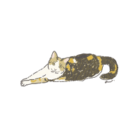 Cat Sticker