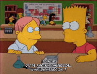 Season 2 GIF by The Simpsons