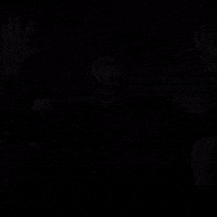 Hermitwaveslistener GIF