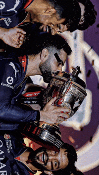 Virat Kohli Ipl GIF