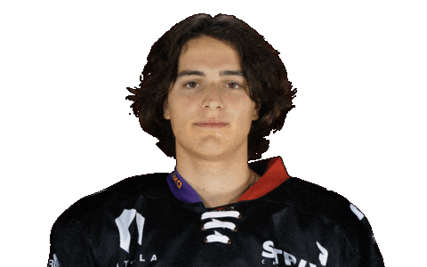 Daniel Badinka Sticker by Piráti Chomutov