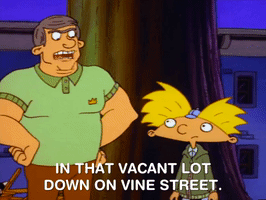 hey arnold nicksplat GIF