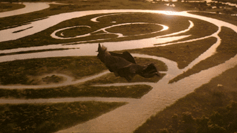 Flying Cynthia Erivo GIF by Wicked