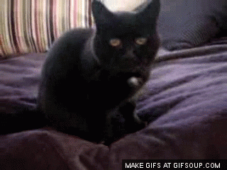 waving GIF