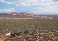 Bound 2 GIF by Kanye West