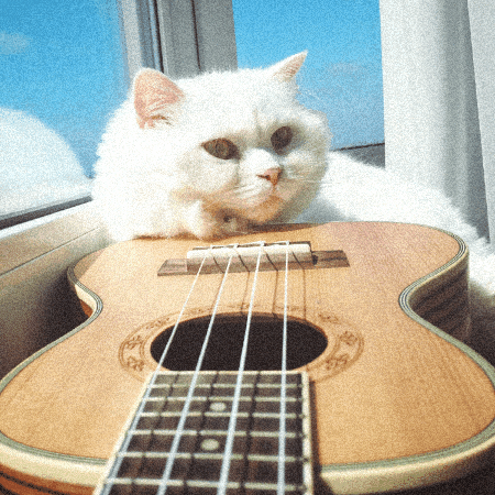 kevinknasel giphygifmaker kevin knasel kevin knasel missouri GIF