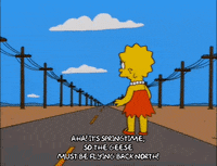 Lisa Simpson Episode 24 GIF by The Simpsons