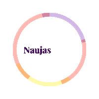 noriuzindyti naujas irasas naujasirasas zindymas Sticker