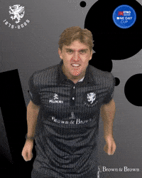 Celebration Ball GIF by Somerset County Cricket Club