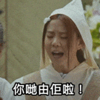 Tiger Mirror GIF by ViuTV